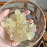 Soap seeds soaked transparent